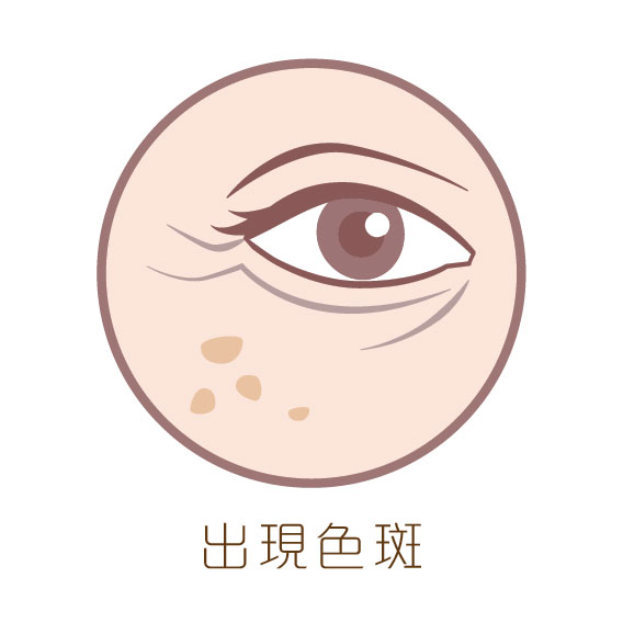 MMZ_Sub-banner-04